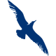 Cape Air