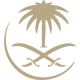 Saudi Arabia Airlines