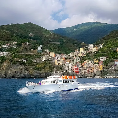 Mediterranean